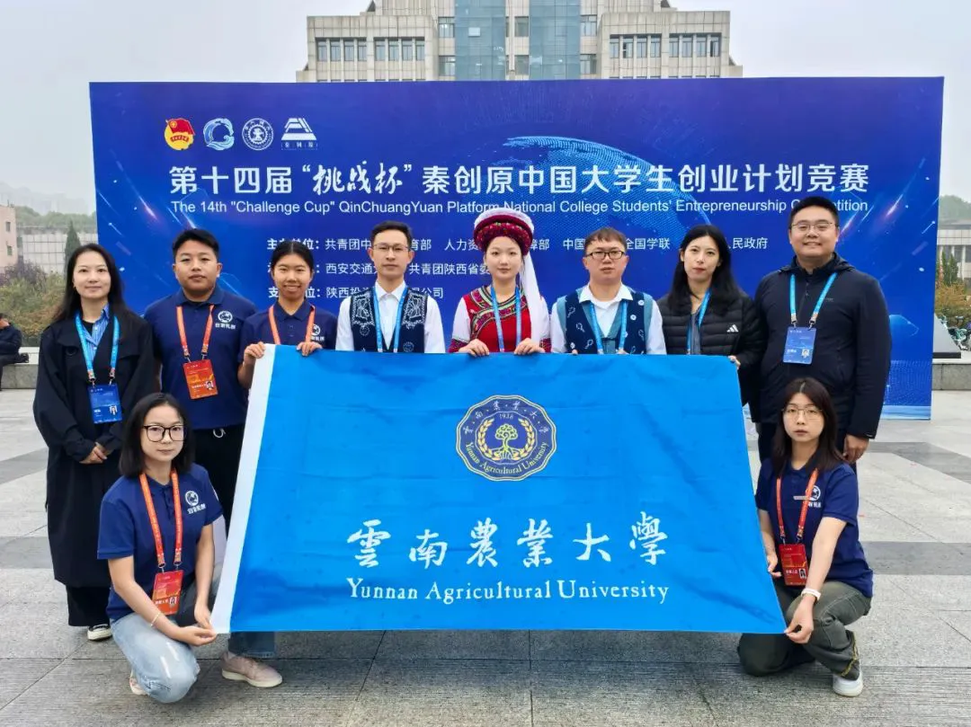 如何借助篮球榜样的力量提升团队协作能力_1