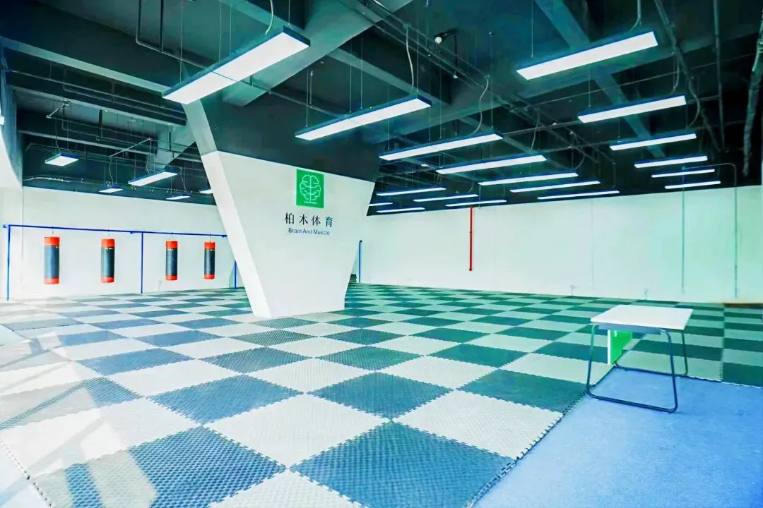 篮球训练营中试训的表现评估方法_0